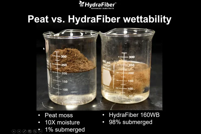 Sand And Water In A Beaker