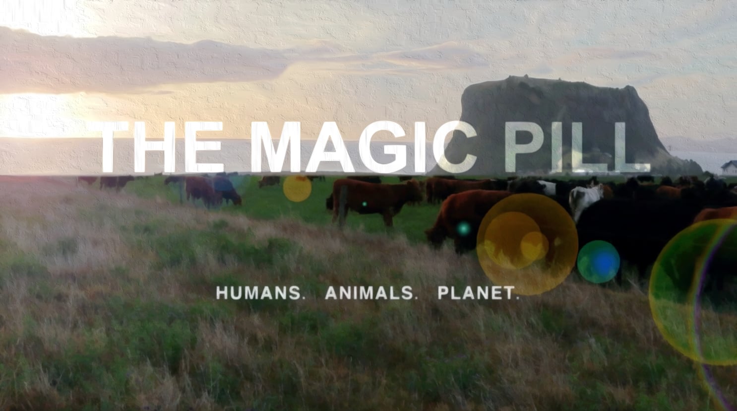 The Magic Pill: Official Trailer