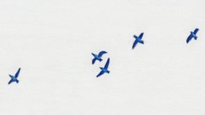 Run for the Bird Song by Ingrid Pucci