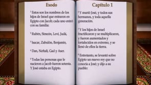 Videos in "La Biblia" on Vimeo