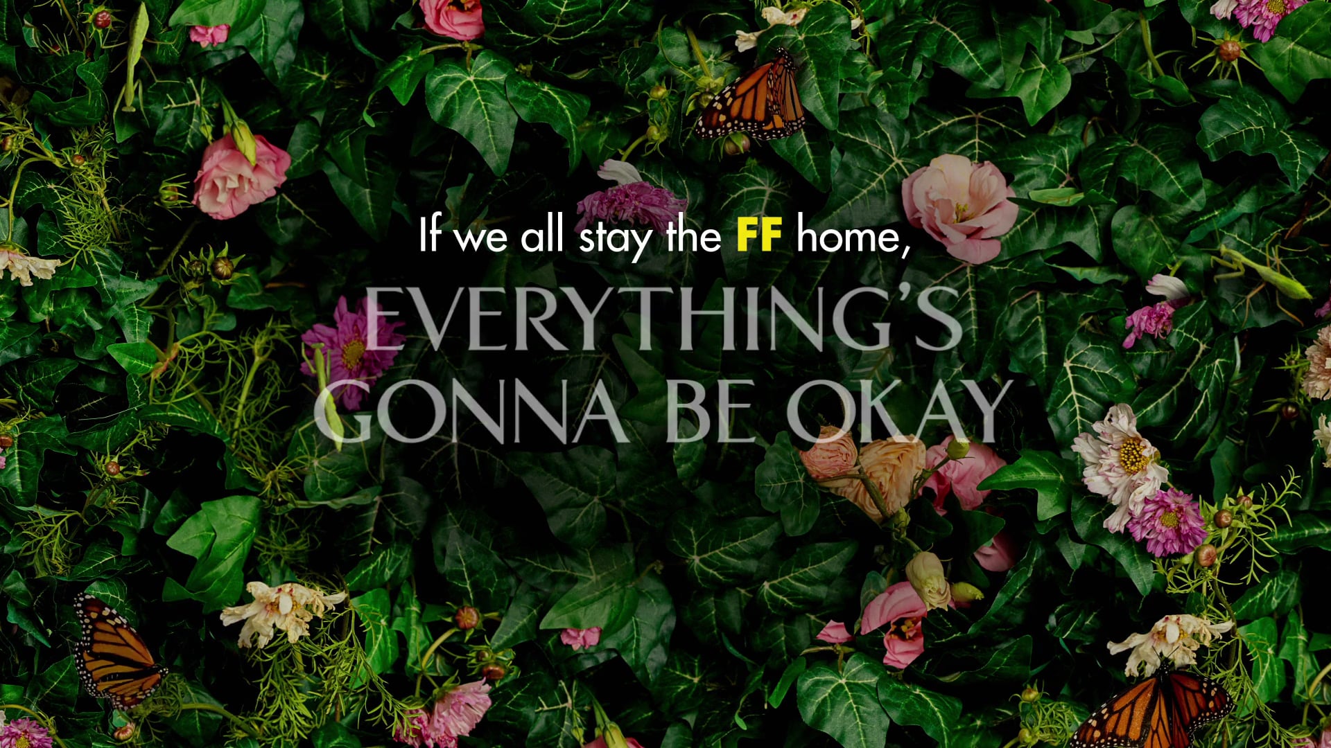 EGBOK - SOCIAL DISTANCING DANCE