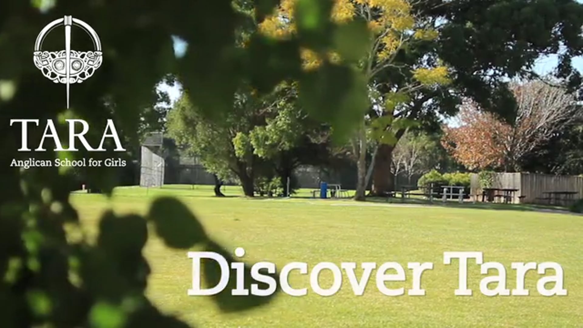 Discover Tara Virtual Tour - August 2020