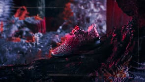 Videos in "Shoe Porn" on Vimeo