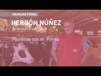 Pioneiros