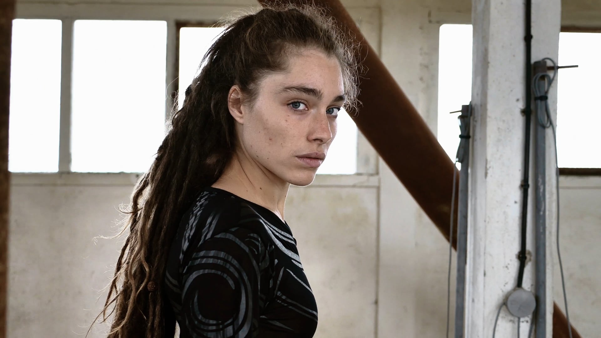 Publicités Toonzshop