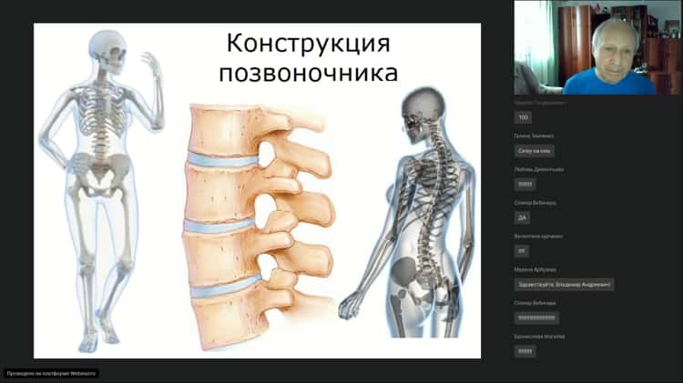 Сиденье-тренажер ортопедическое 