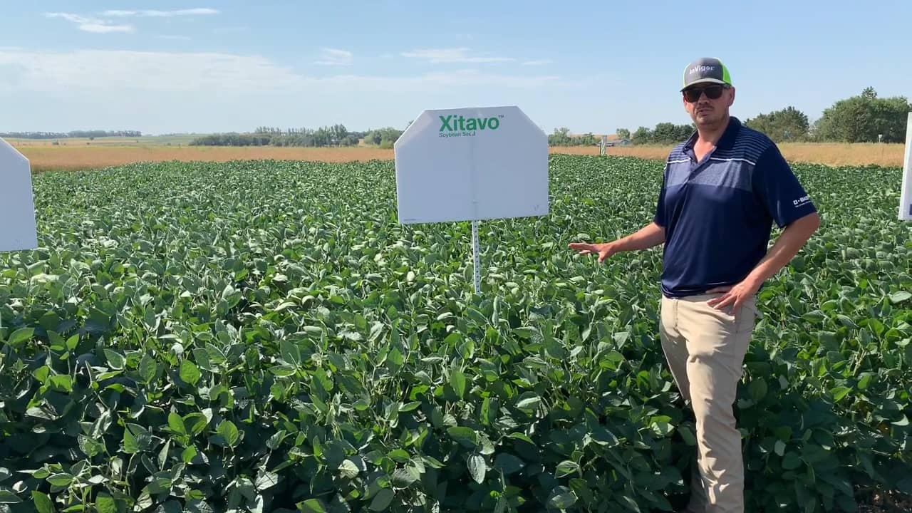 Soybean Bonus Introducing Xitavo for NW ND & MT Market on Vimeo