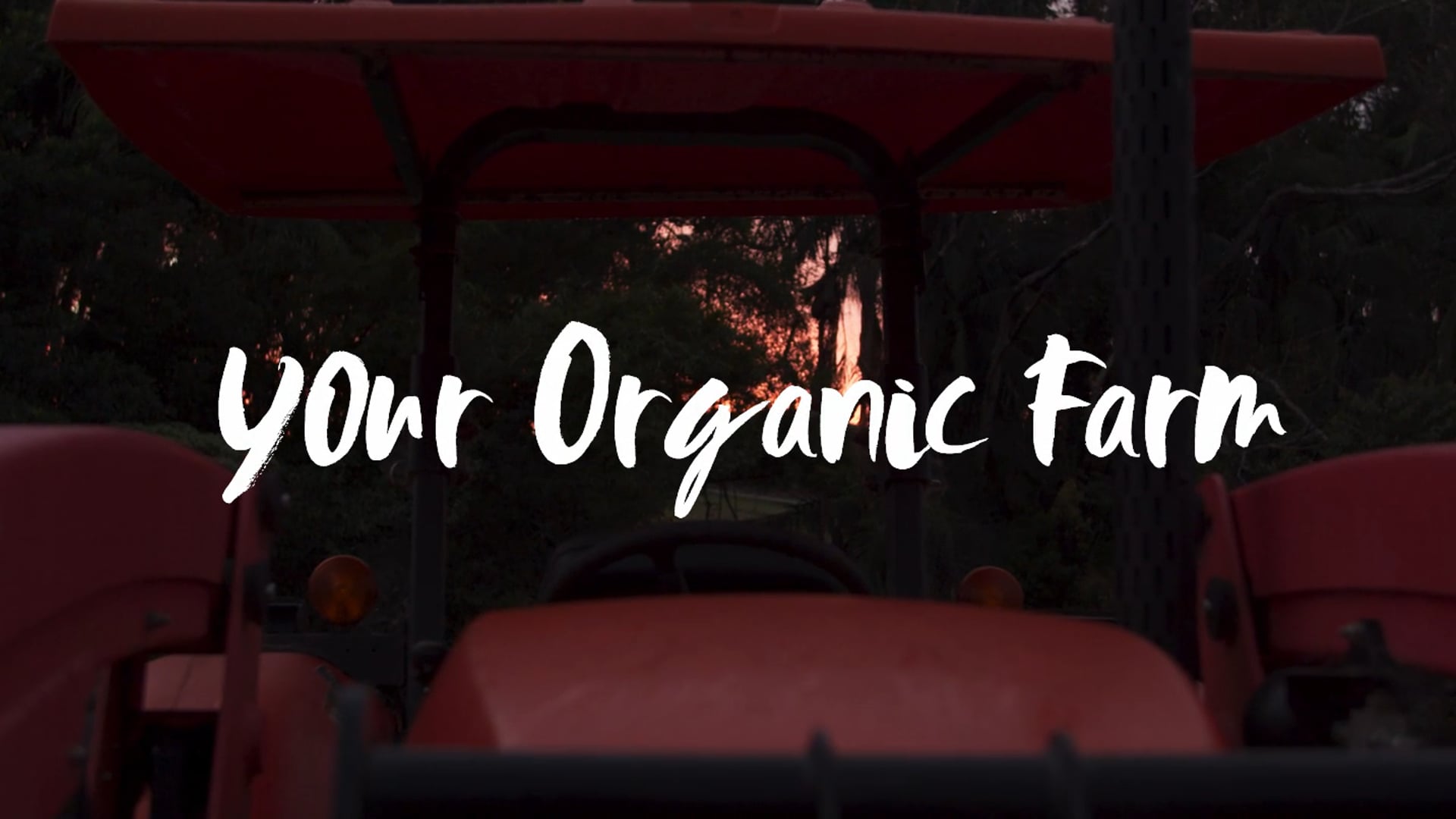 Good Harvest | Your Organic Farm