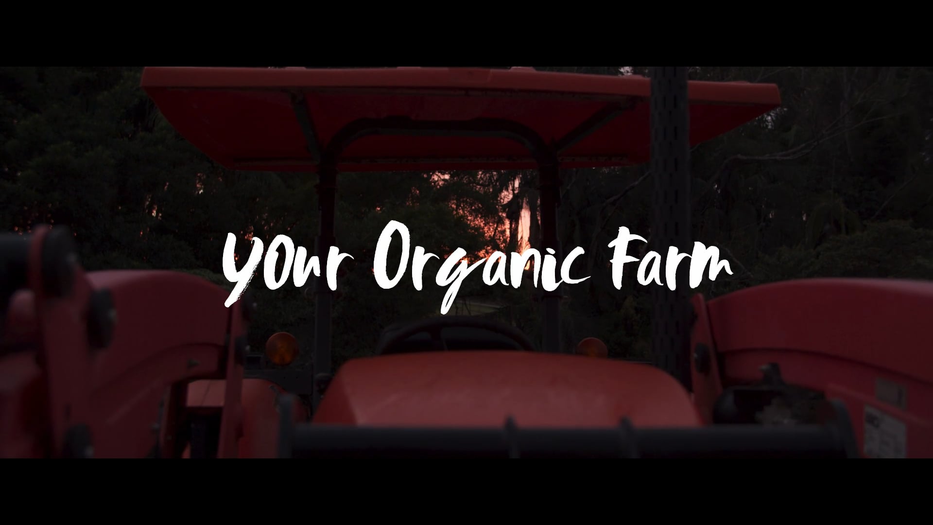 Good Harvest | Your Organic Farm