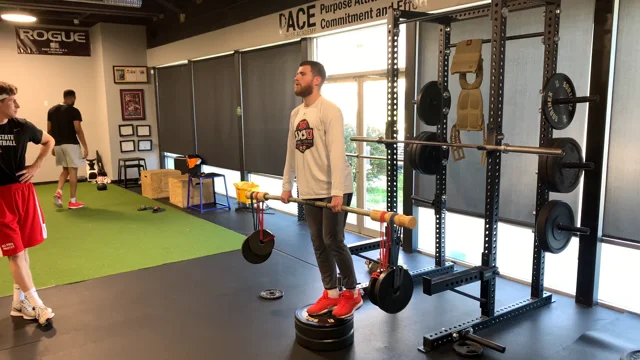 Michael Boyle on X: One problem with posterior chain training for