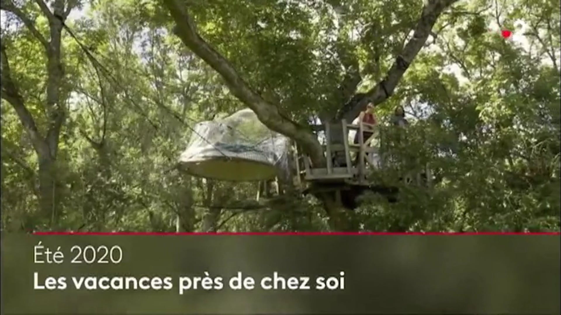 Notre passage sur France 2 au Journal de 20h