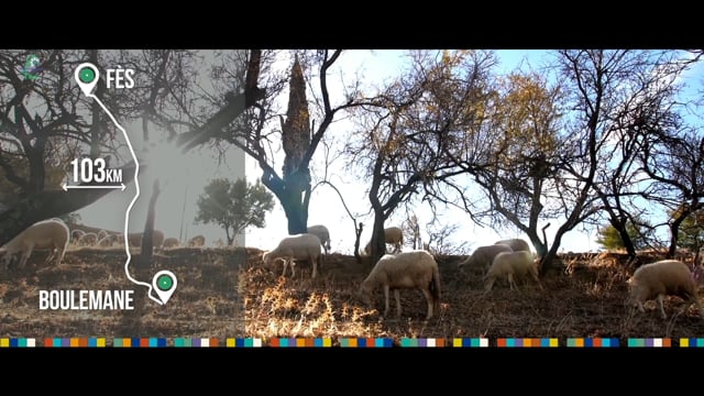vimeo-video-thumbnail
