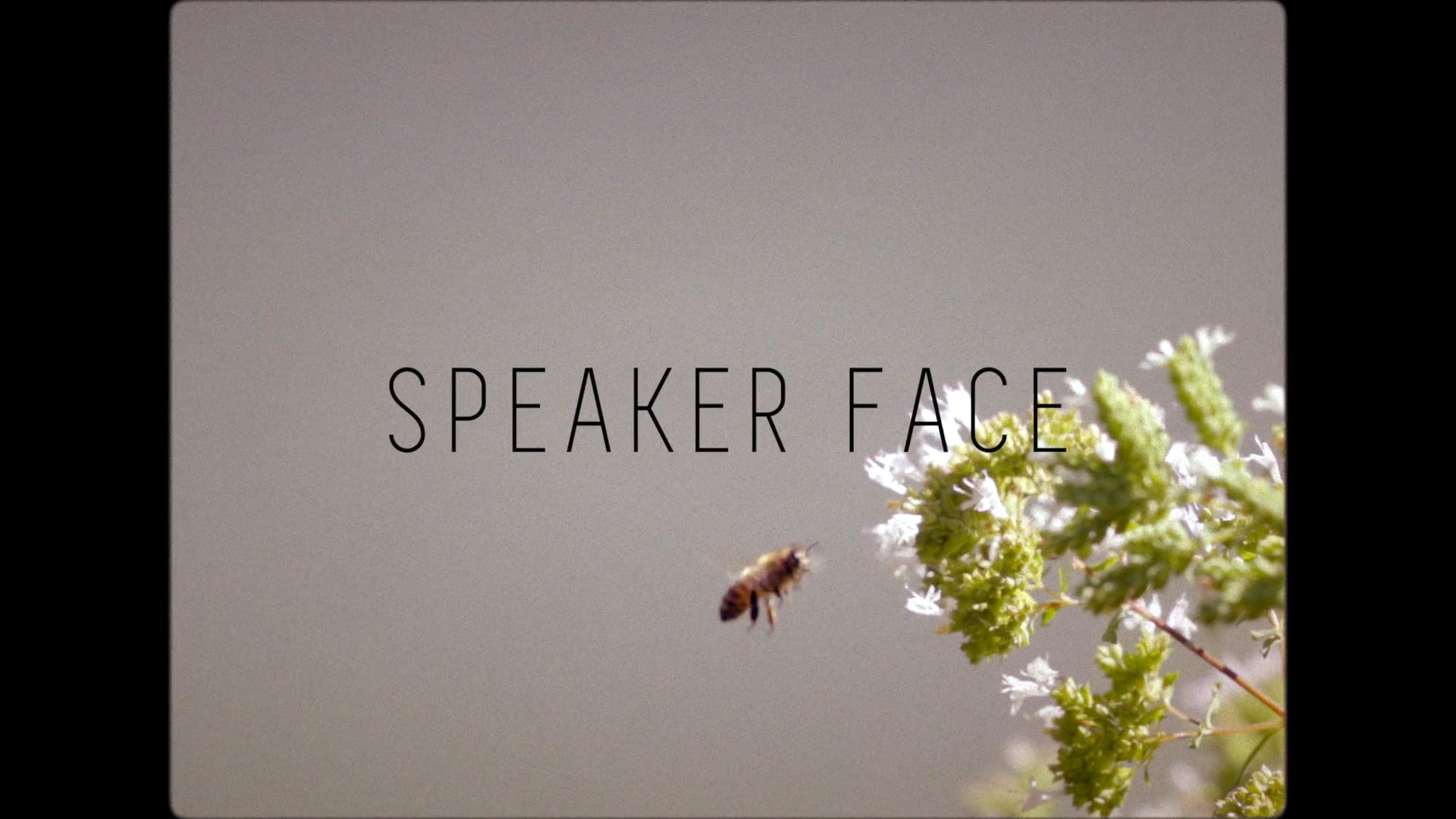 SPEAKER FACE - Work Friends