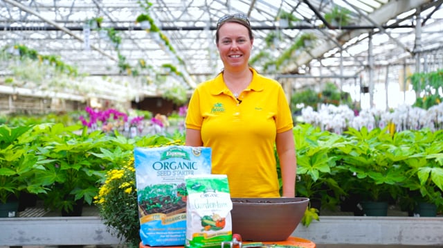 How to Start Fall Cold Crops In Containers From Seed