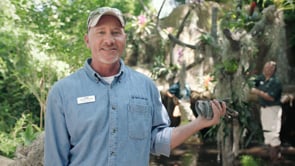 Saint Louis Zoo - Customer Success Story
