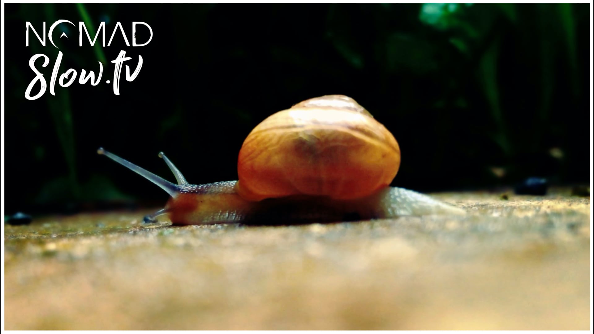 Even a snail will eventually reach its destination