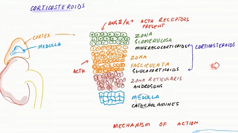 Dexamethasone