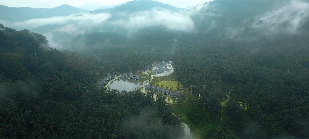 Where First Class is Second Nature