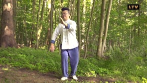 Sun-stil Taichi Video Del 2