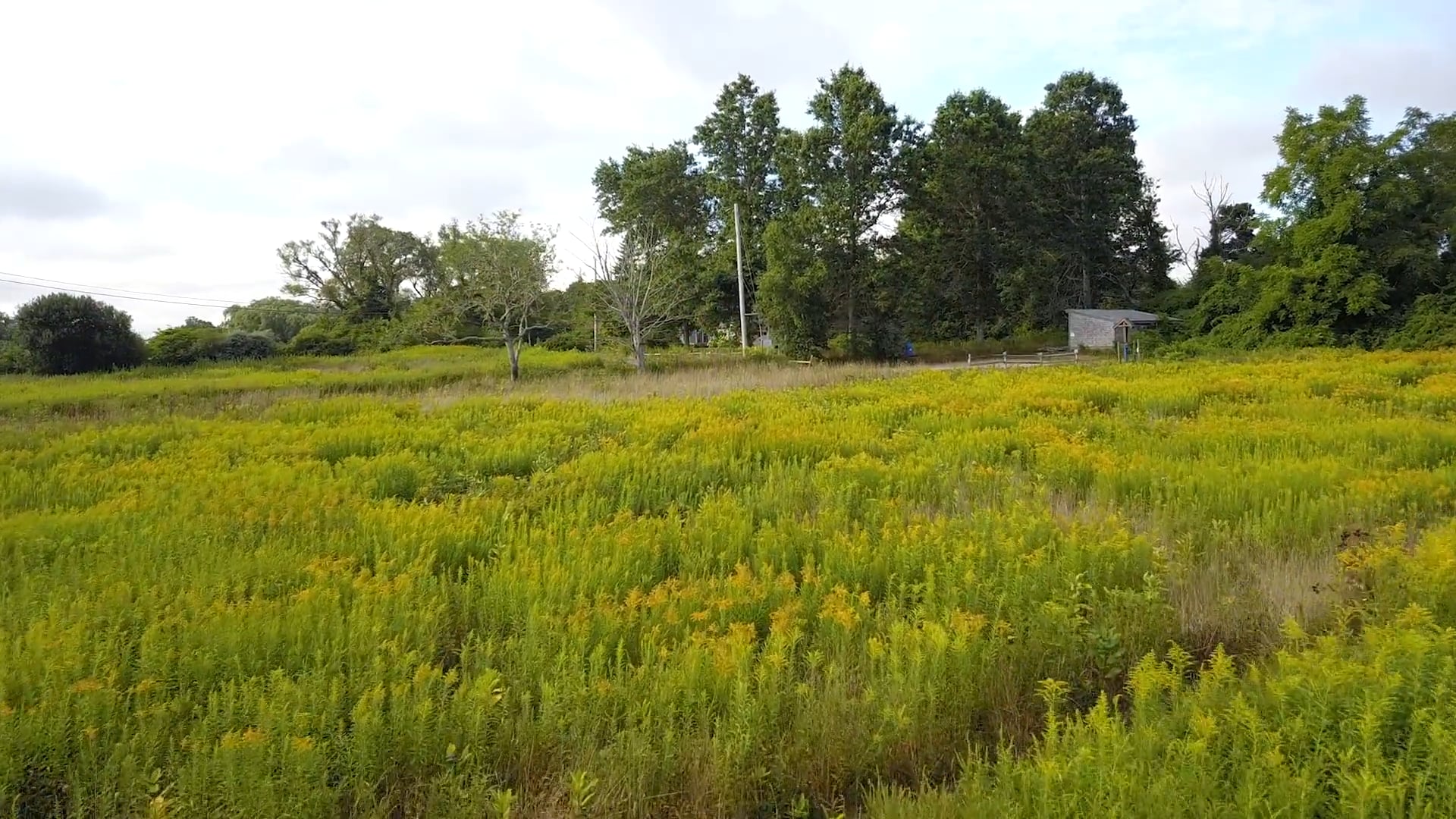 Long Pasture Wildlife Sanctuary