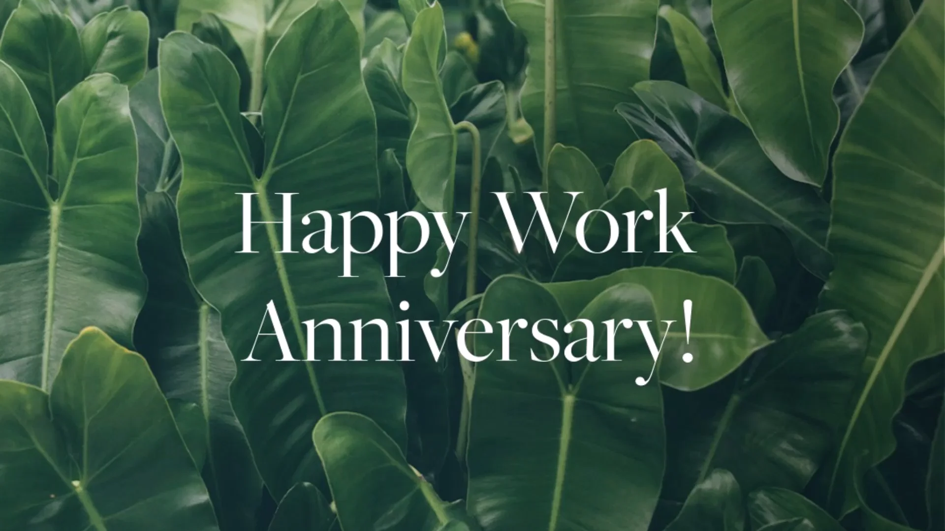 Happy Work Anniversary! on Vimeo