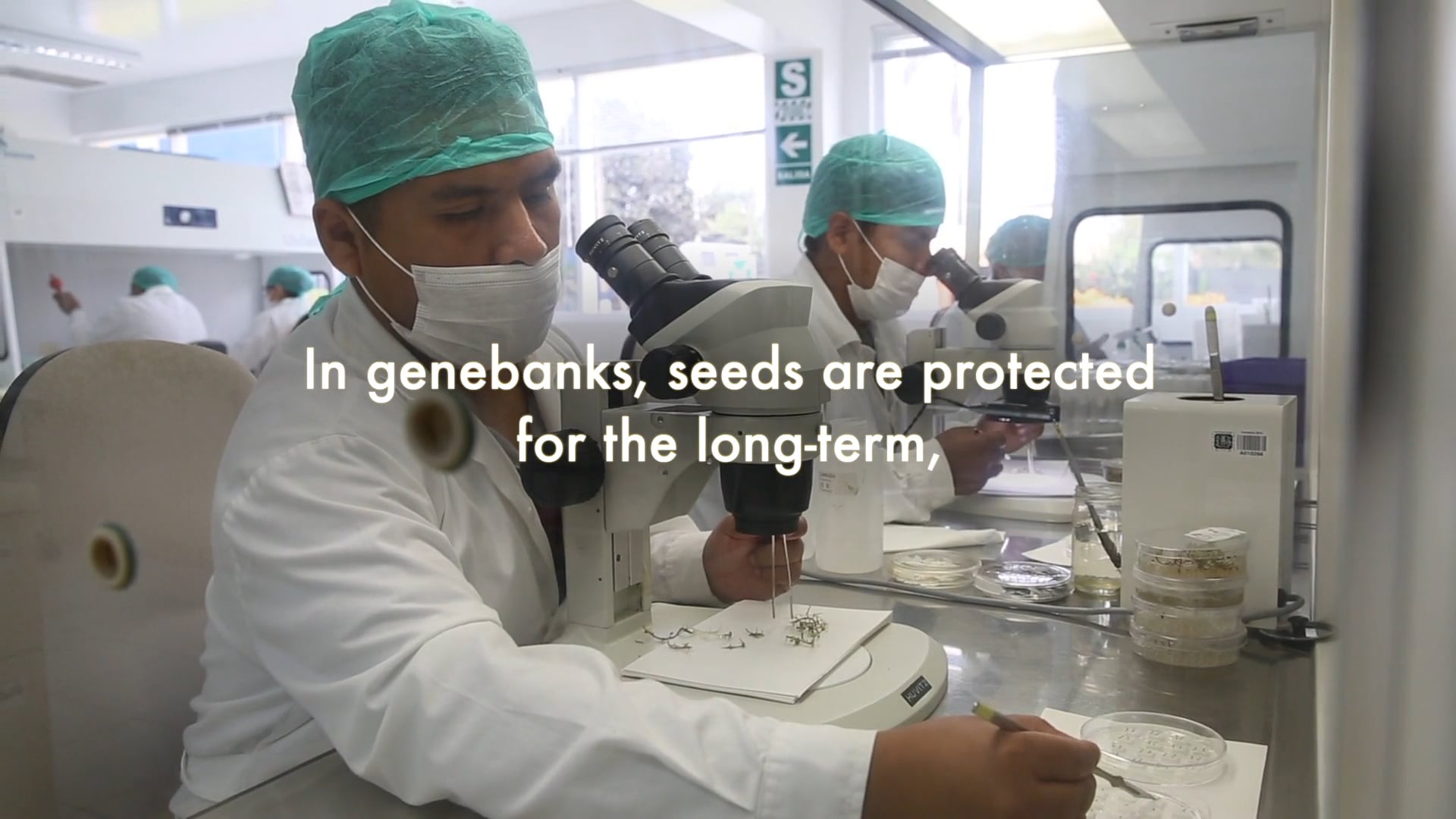 Biodiversity for Resilience: The Seed Bank, Ensuring Resilience