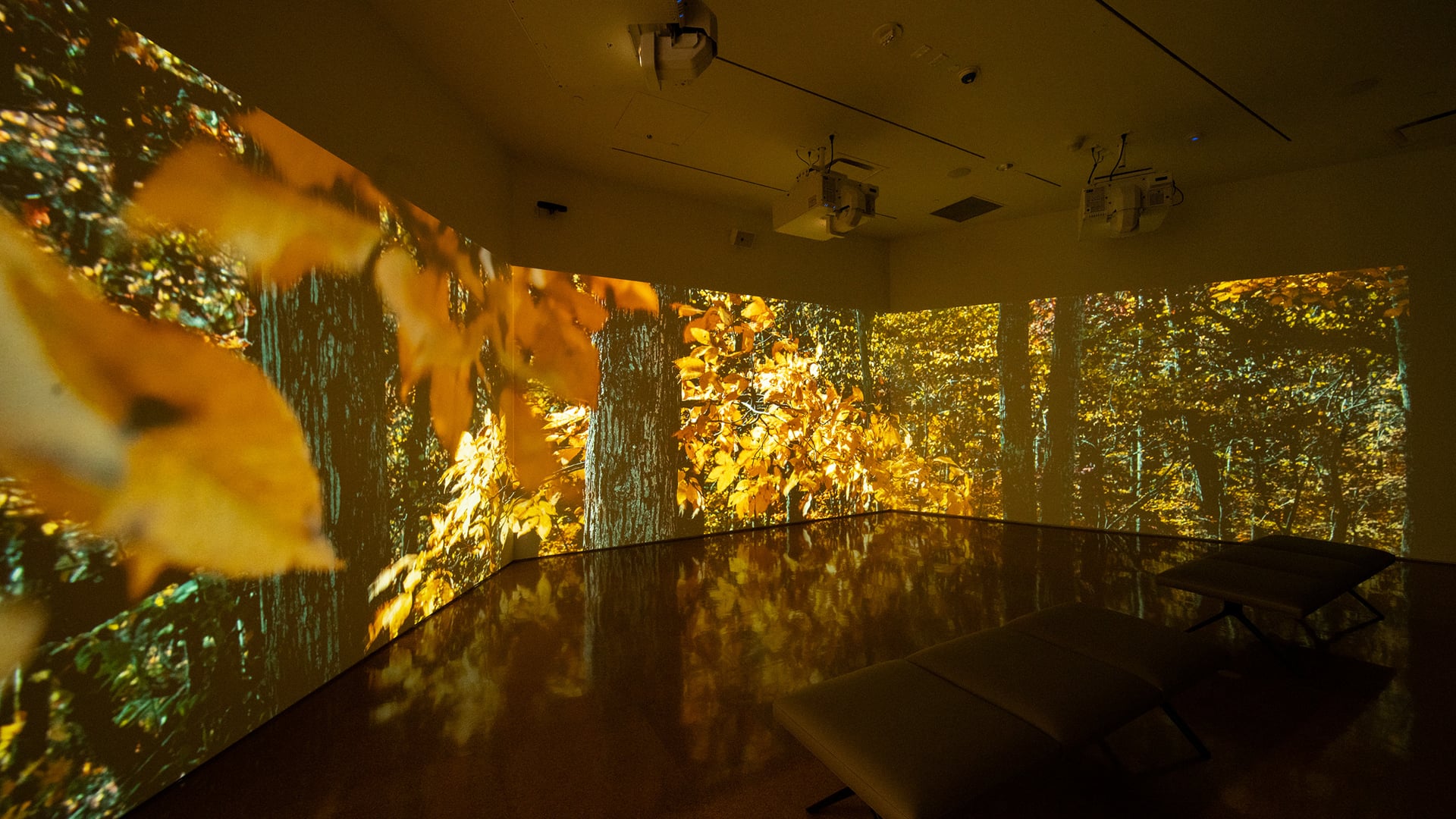 House of the Singing Winds, Simulated View (private)