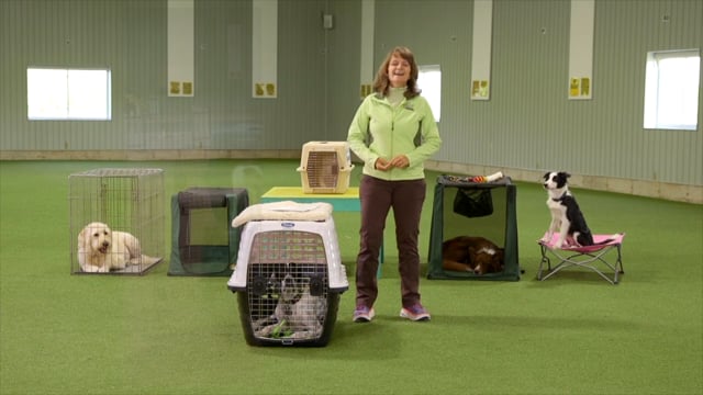 Susan garrett outlet crate training