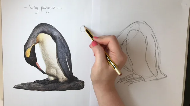 Penguin Speed Draw 1 