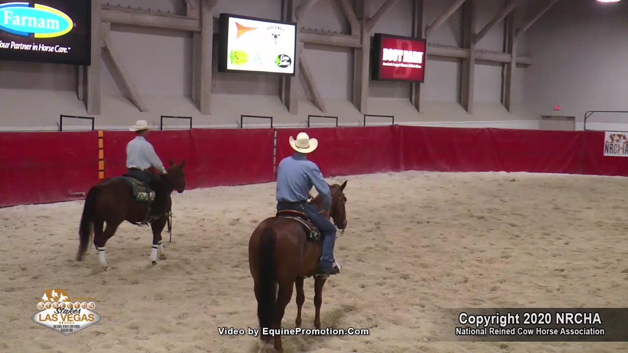 Cats Diamond Time ridden by Titus Covington 2020 NRCHA Stakes Level