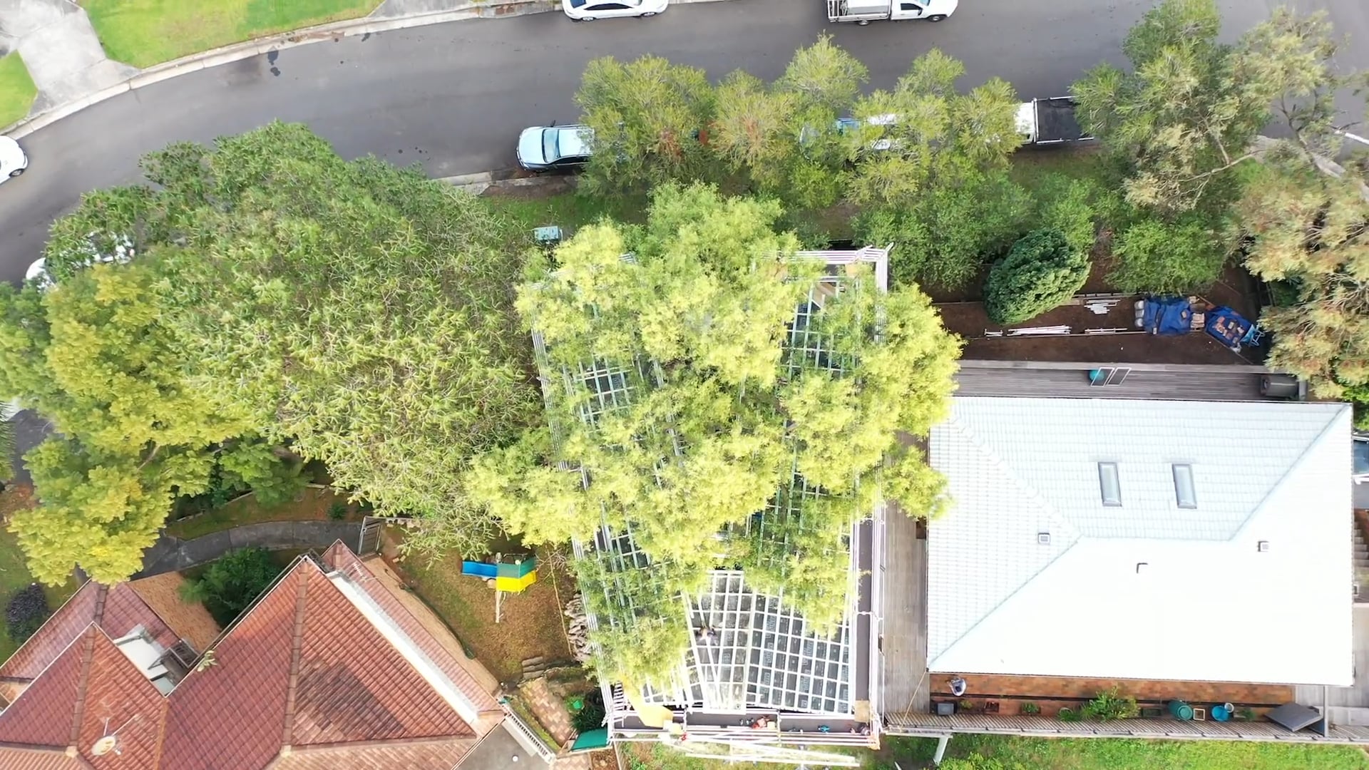 The Pepper Tree Meeting