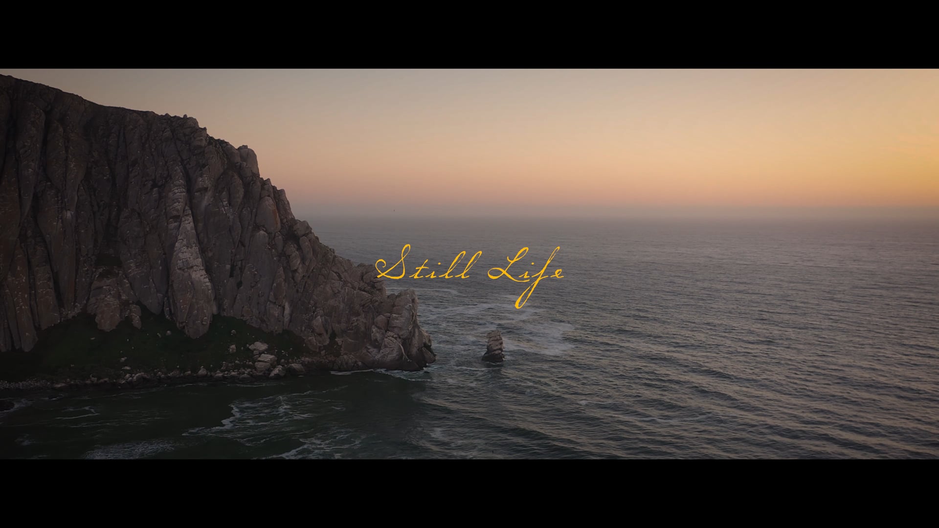 ECHO :: STILL LIFE