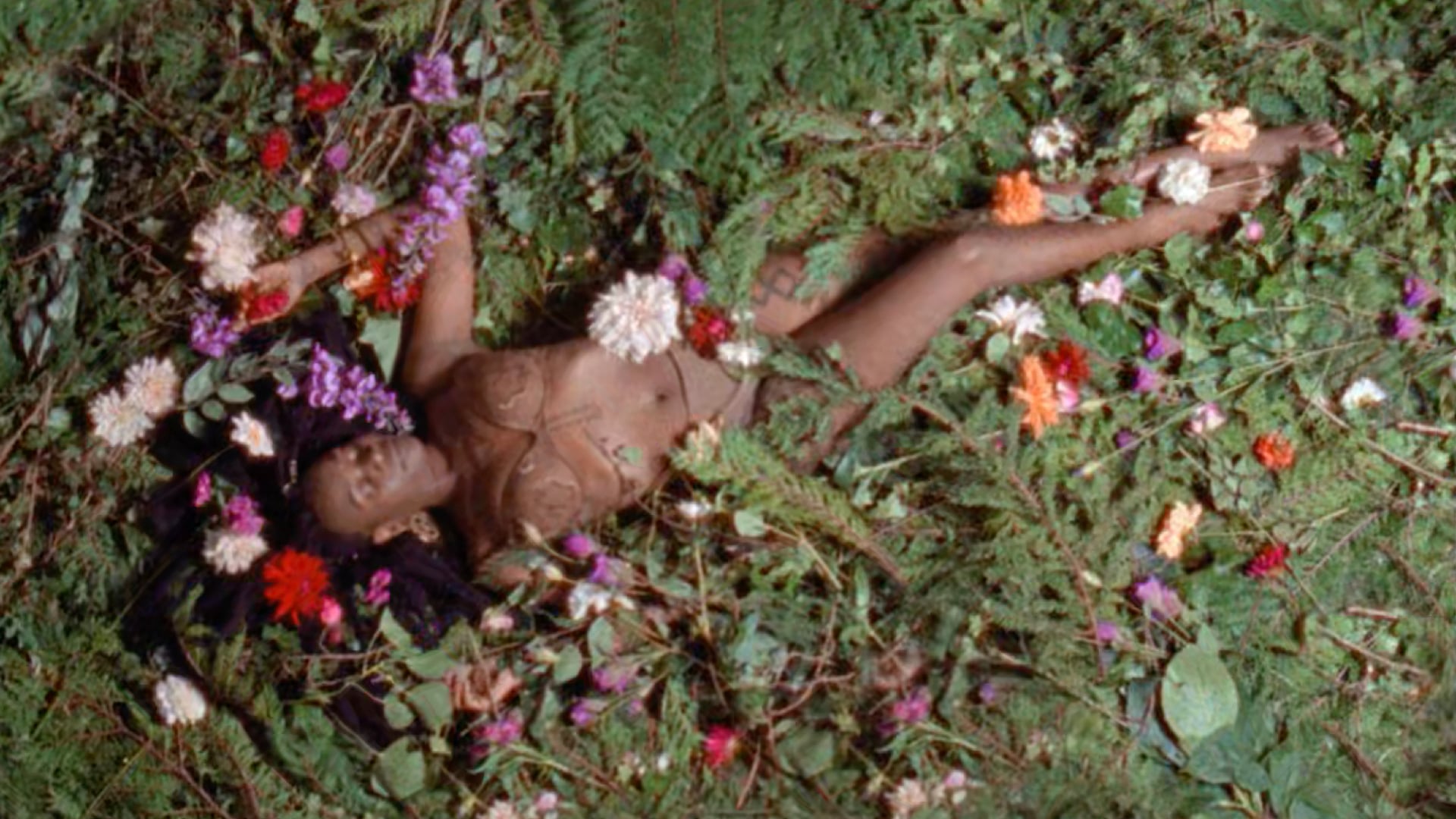 THE AYES HAVE IT - Motion Poems