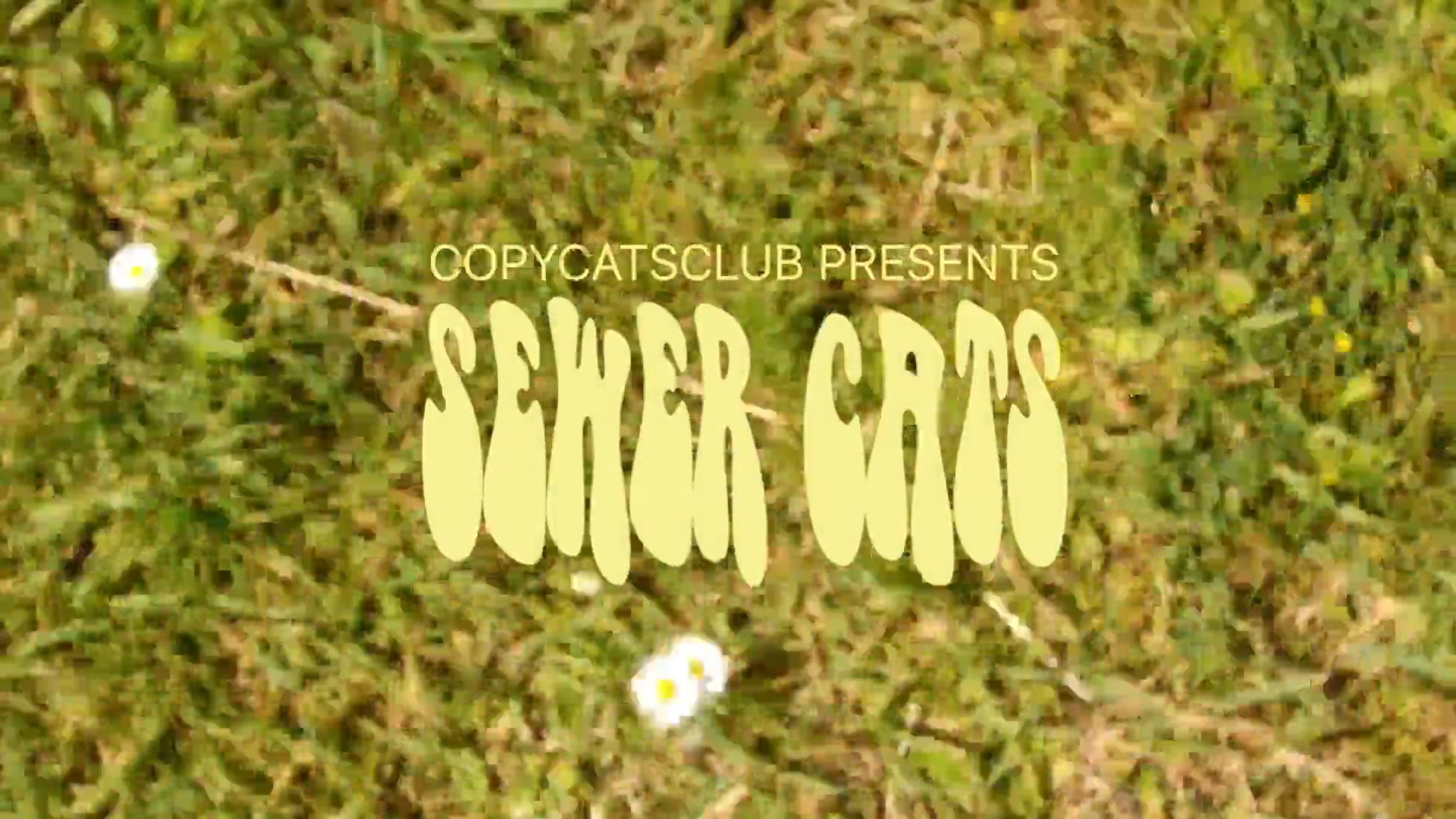 Sewer Cats - A Winch Movie