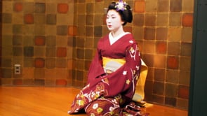 Sony Nex Videographers