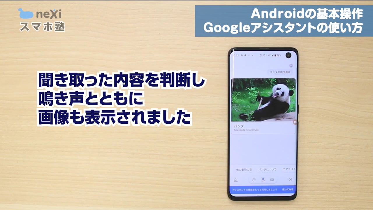 Androidの基本操作 Googleアシスタントの使い方 Nexiチャンネル Nexiスマホサポート