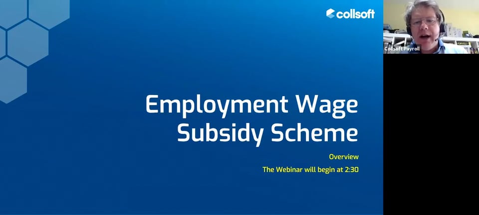 Employment Wage Subsidy Scheme - EWSS #3 on Vimeo