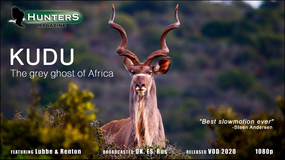 Kudu hunt in South Africa