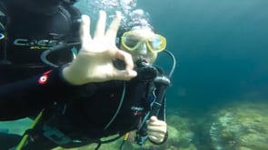 El bateig de submarinisme, una de les activitats més sol·licitades