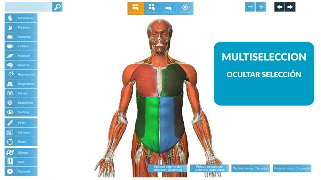 VMV3D Demo Anatomia 3D