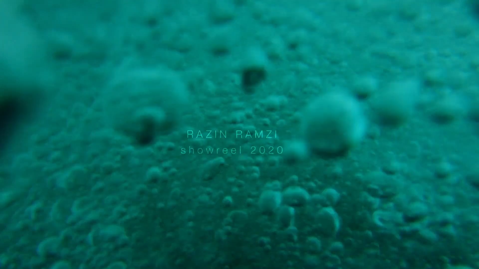 RazinRamzi_Showreel2020