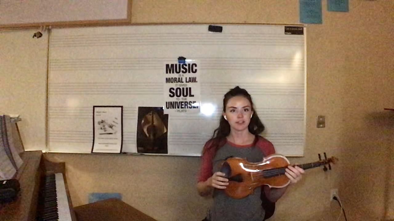 How to Hold a Violin/Viola