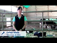 Carlota Antelo, veterinaria de Eliter