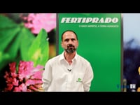 Asesoramiento técnico