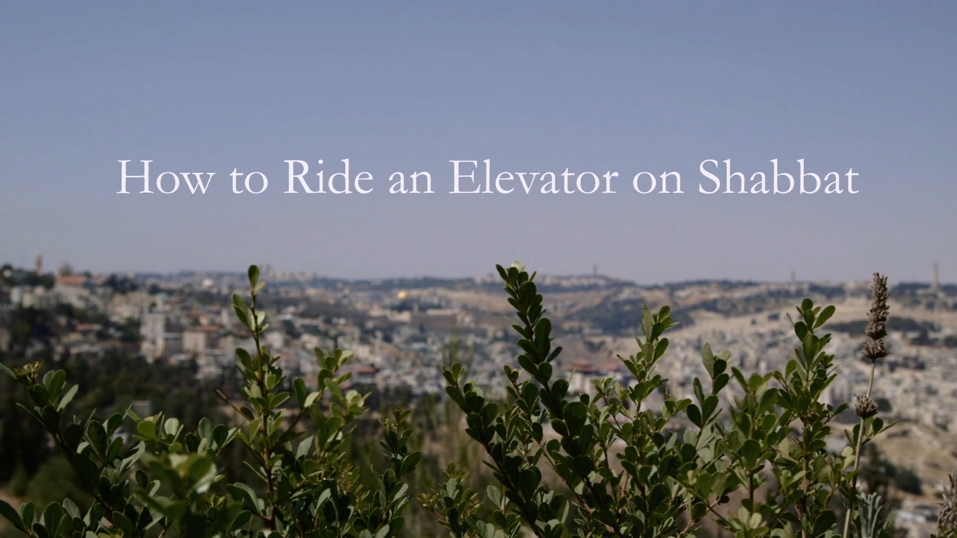 How to Ride an Elevator on Shabbat