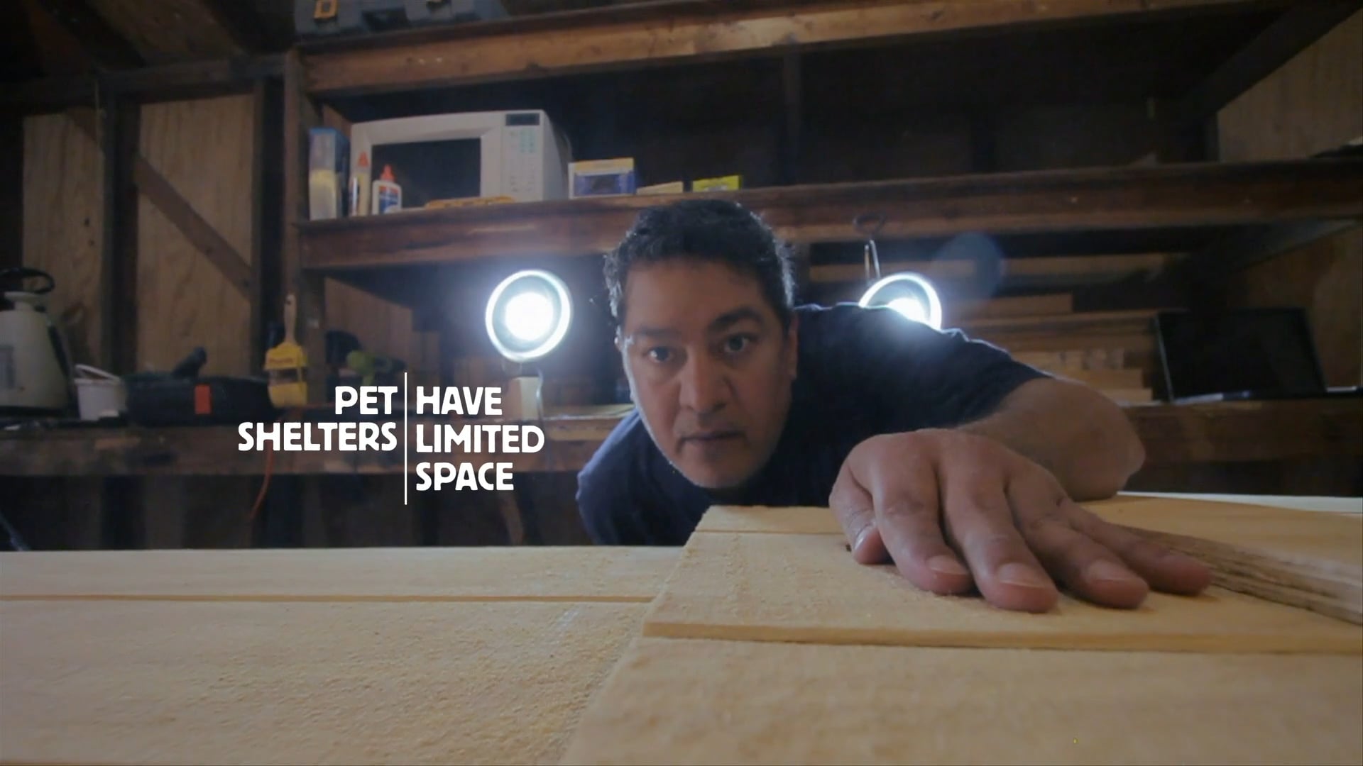 Petsalive