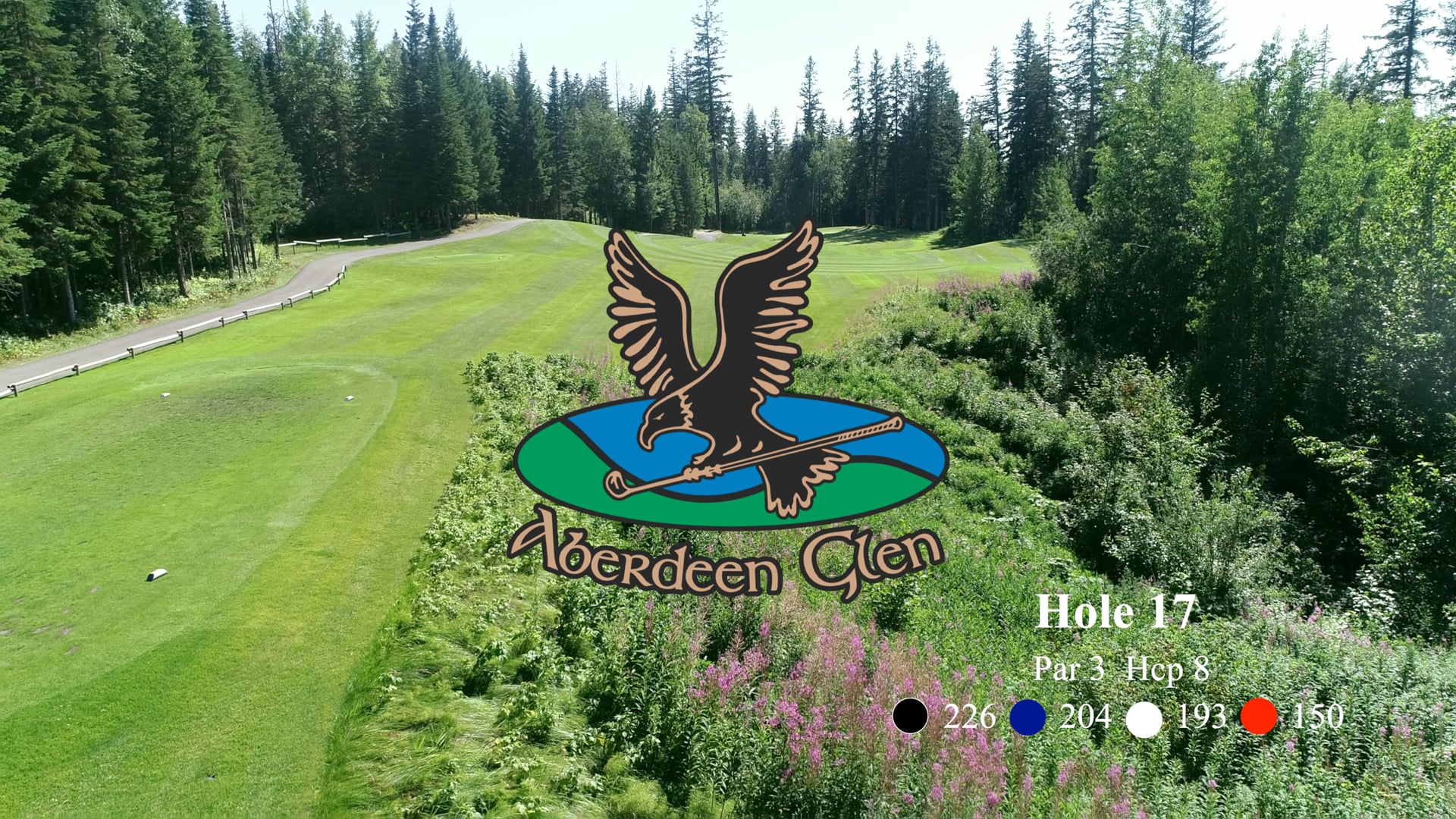 Aberdeen Glen Hole #17