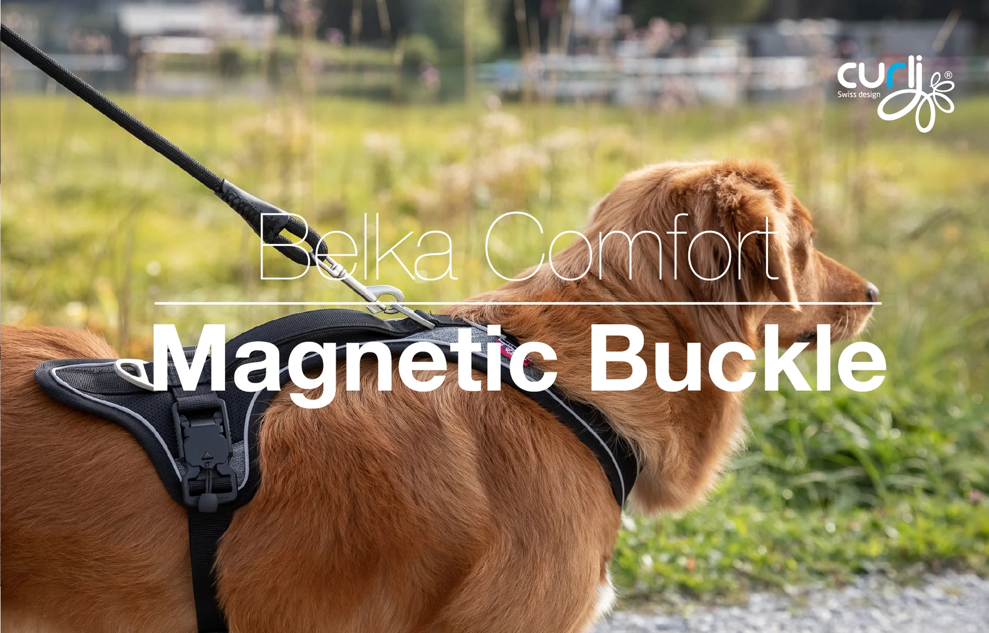 curli Showcase Magnetic Belka Comfort Harness