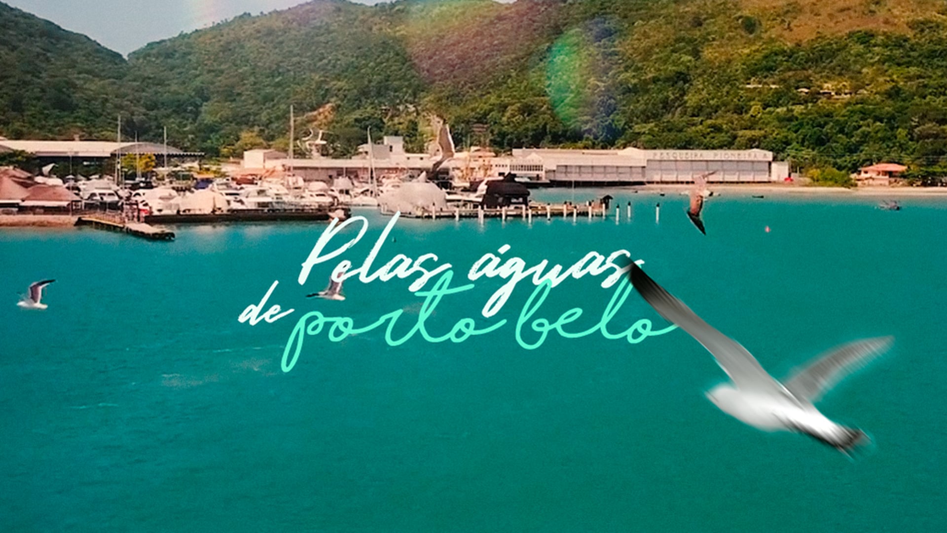 Pelas águas de Porto Belo