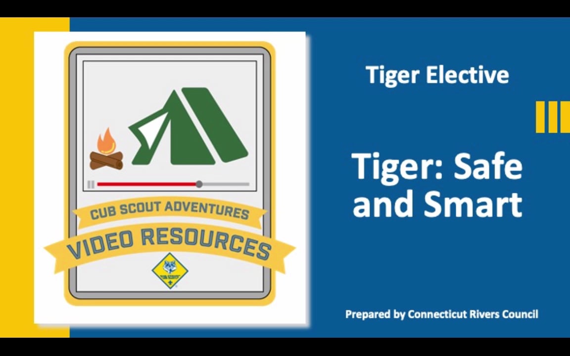 tiger-tiger-safe-and-smart-on-vimeo